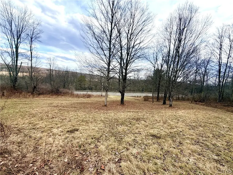 5317 State Route 221, Willet, NY 13863 - #3