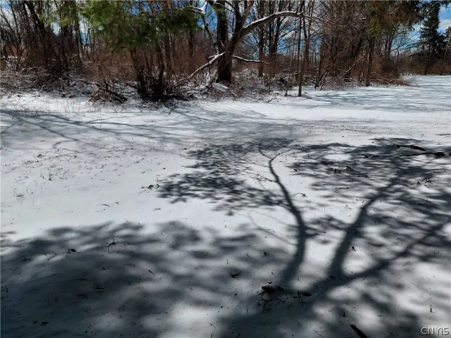 8114 Salt Springs Road, Manlius, NY 13104 - #3