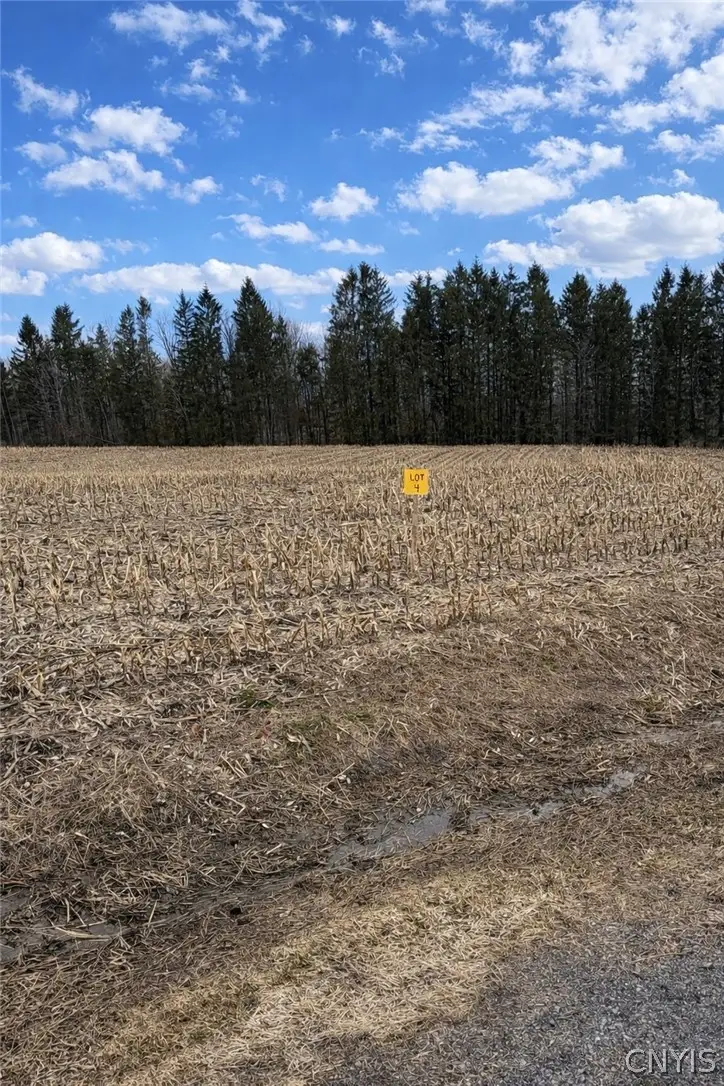 00 Skinner Lot 4 Road, Richfield Springs, NY 13439 - #1