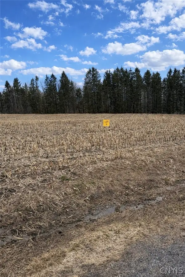 00 Skinner Lot 4 Road, Richfield Springs, NY 13439