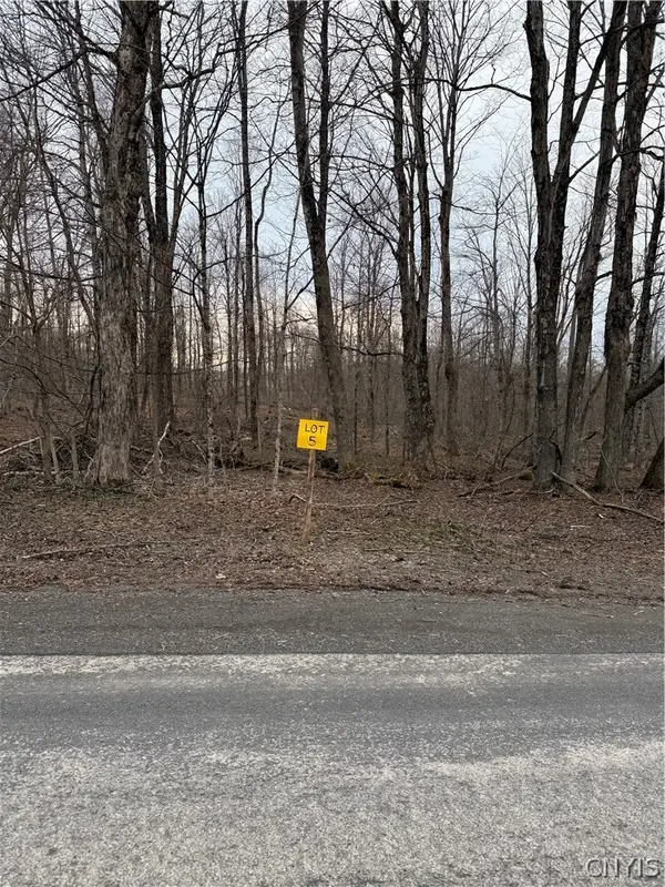 00 Skinner Lot 5 Road, Richfield Springs, NY 13439