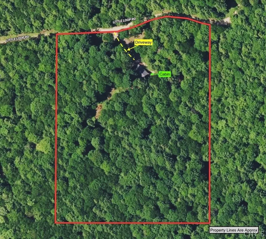 1209 Little Loop Road, Portville, NY 14770 - #2