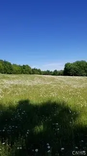 Talbot Road, West Winfield, NY 13491 - #2