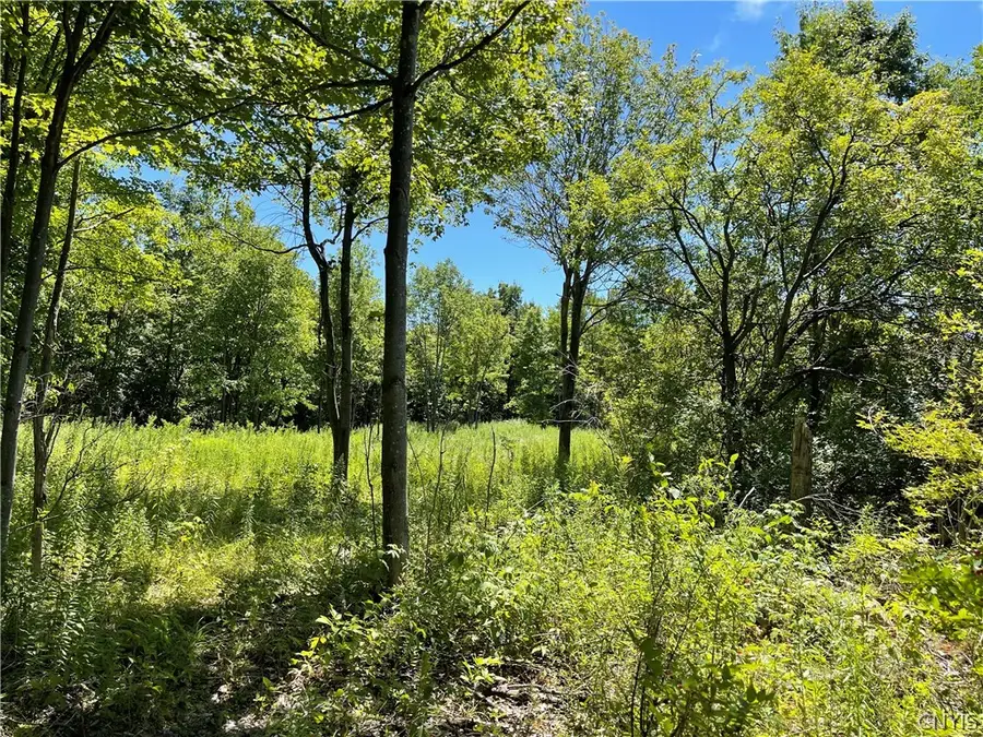 Mill Street, Theresa, NY 13691 - #3