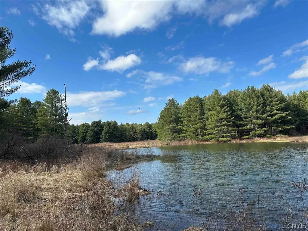 219 Martin Hill Road, Harpursville, NY 13787 - #1