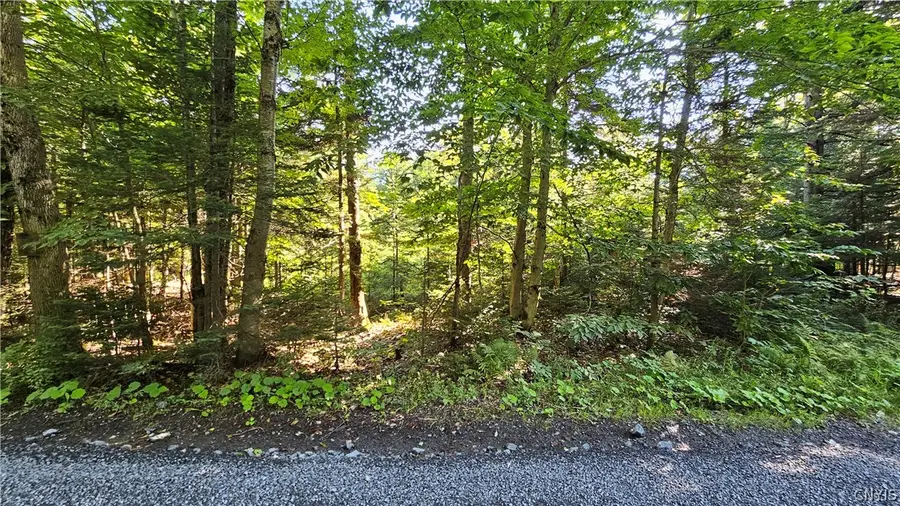 00 Rowsam Road, Martinsburg, NY 13404 - #2