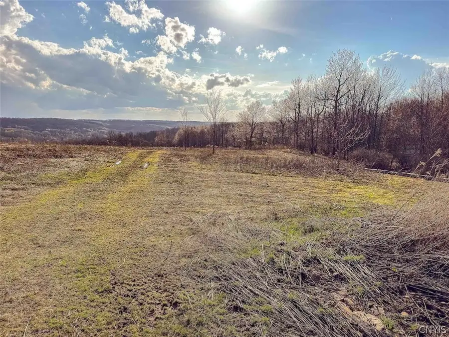 2407 Timmerman Road, Jasper, NY 14855 - #3