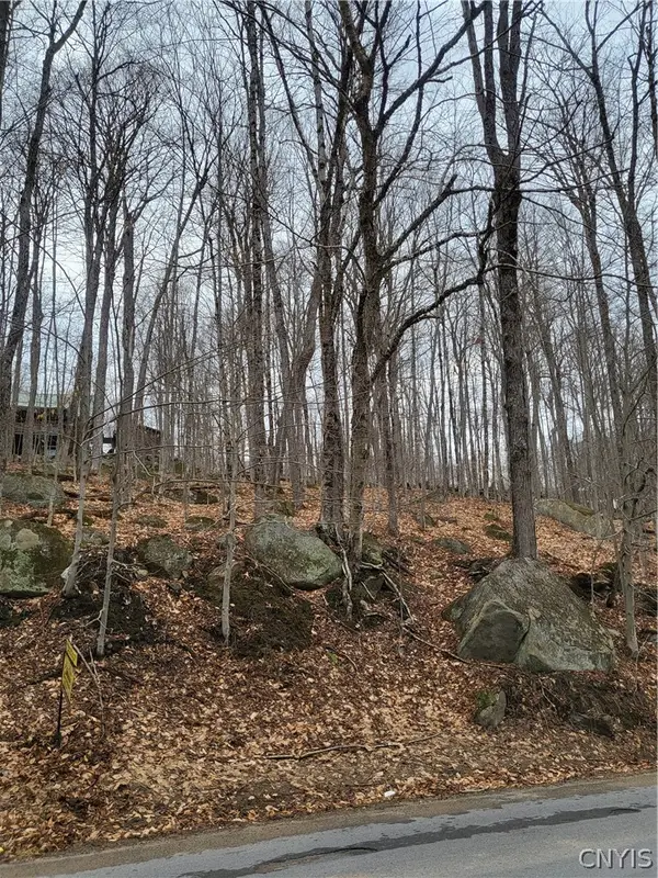 Hollywood Road, Old Forge, NY 13420