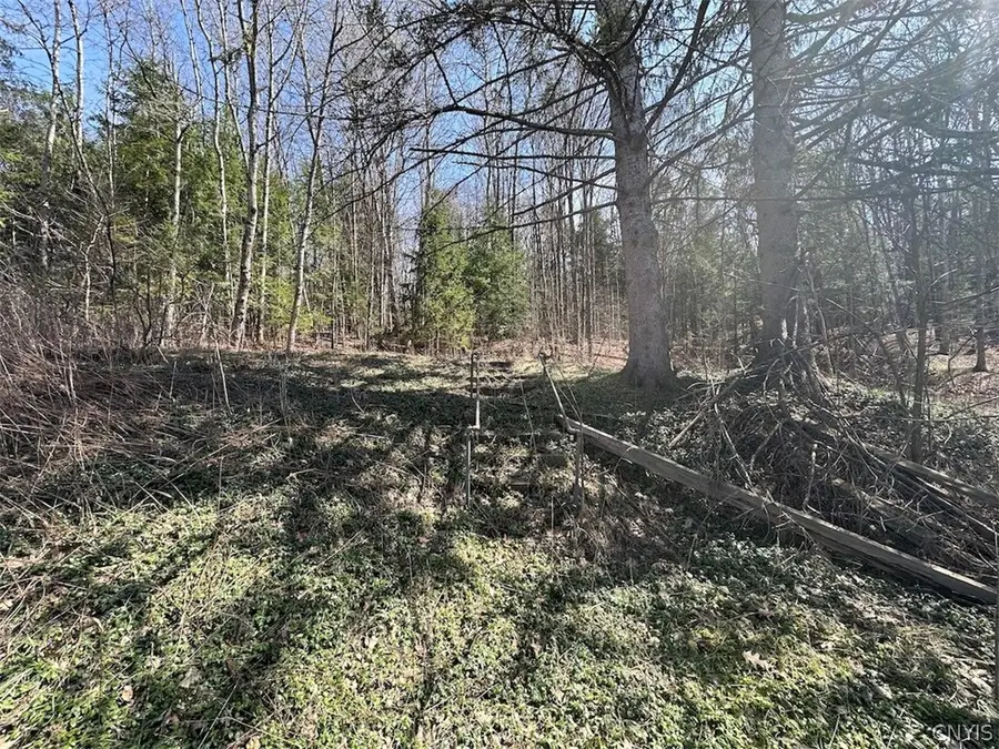 6858 County Road 17, Belfast, NY 14711 - #3