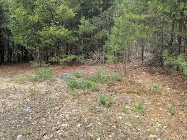 7131 Maple Drive, Glenfield, NY 13343