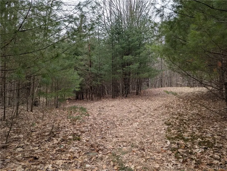 7131 Maple Drive, Glenfield, NY 13343 - #3