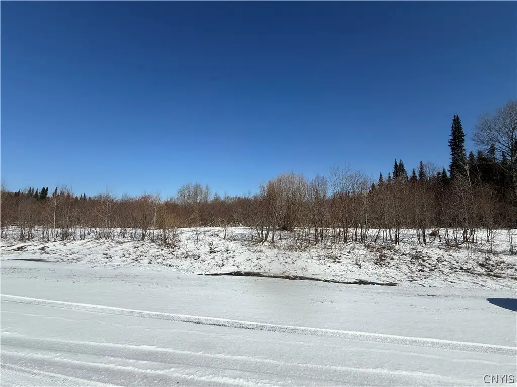 5129 Barniak Drive, Turin, NY 13473 - #1