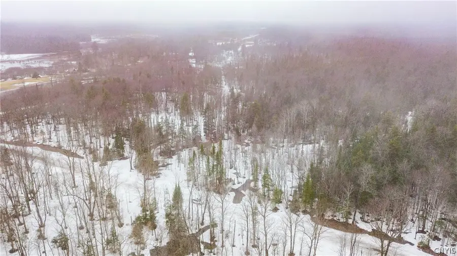 1715 Olin Road, Lowville, NY 13367 - #3