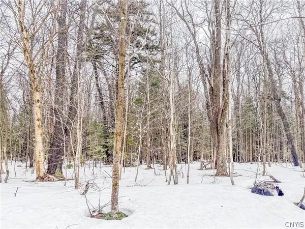 1727 Olin Road, Lowville, NY 13367