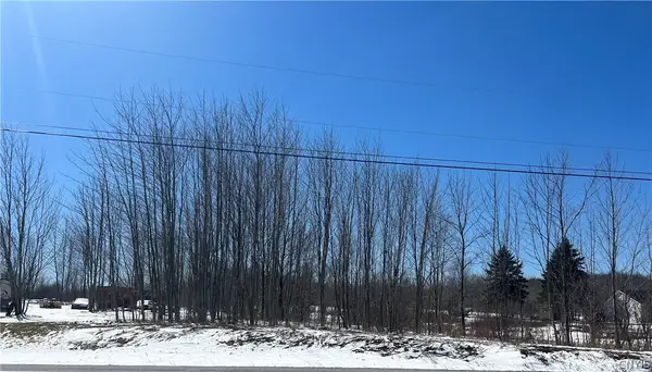 State Route 177, Copenhagen, NY 13626