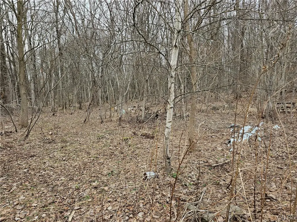 6985 Stearns Road, Rome, NY 13440 - #1