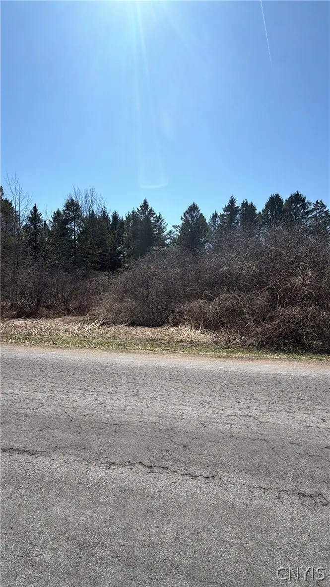 00 Fort Leazier Road, Mexico, NY 13114 - #2