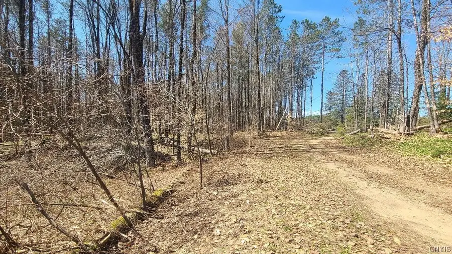 2218 State Route 29, Dolgeville, NY 13329 - #3