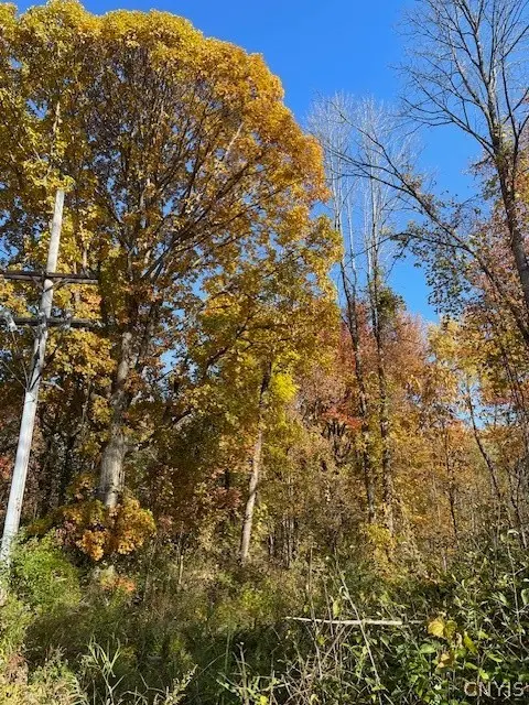 W 11th Street, Fulton, NY 13069 - #1