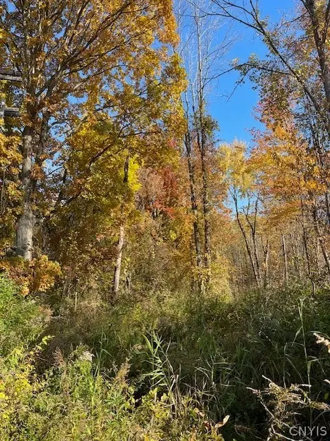 W 11th Street, Fulton, NY 13069 - #2