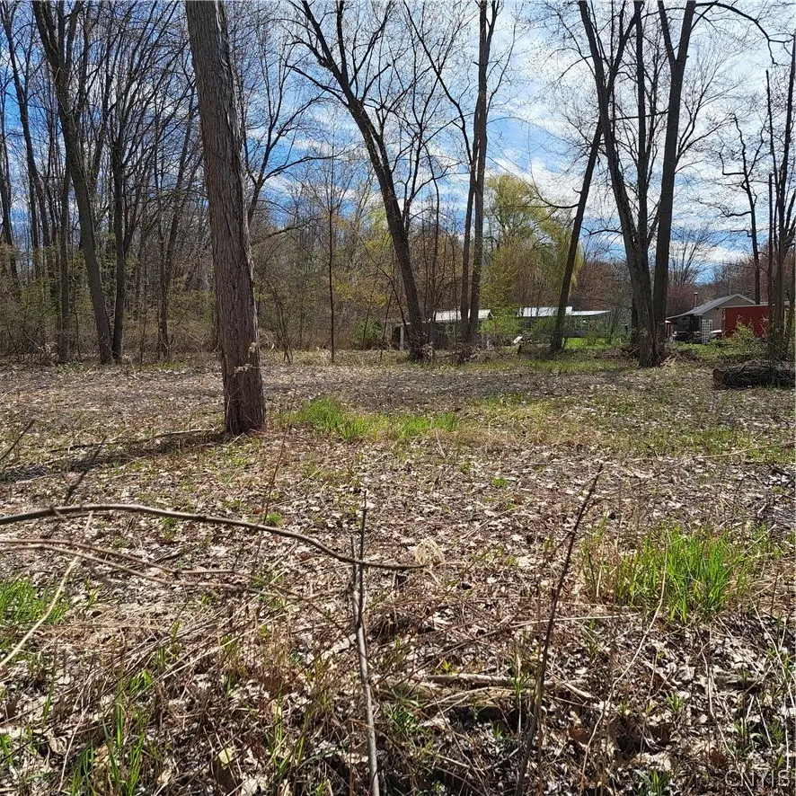 Rt-13, Blossvale, NY 13308 - #3