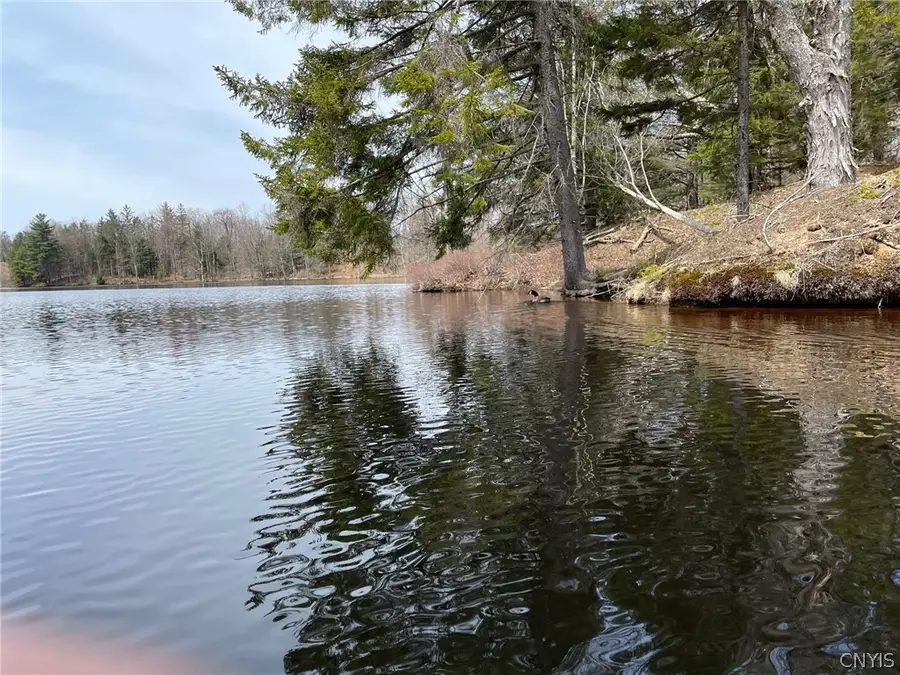 10416 Soft Maple Reservoir, Lowville, NY 13367 - #3