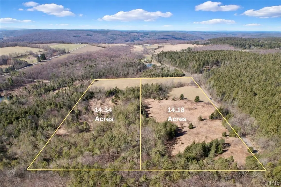 166 Springer Road, Deruyter, NY 13052 - #1