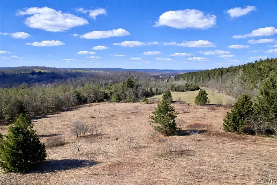 166 Springer Road, Deruyter, NY 13052 - #3