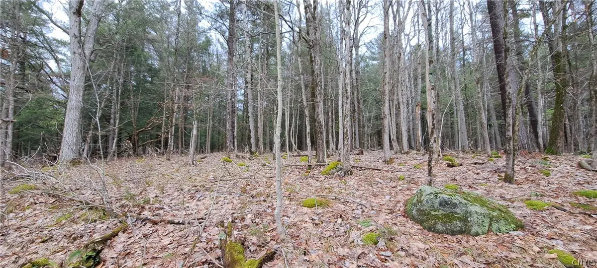 Sweet Point Rd, Alexandria Bay, NY 13607 - #1