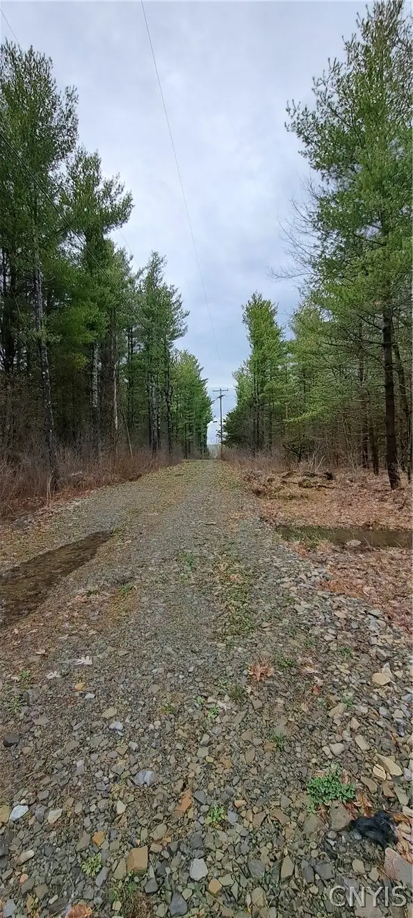Sweet Point Rd, Alexandria Bay, NY 13607 - #3