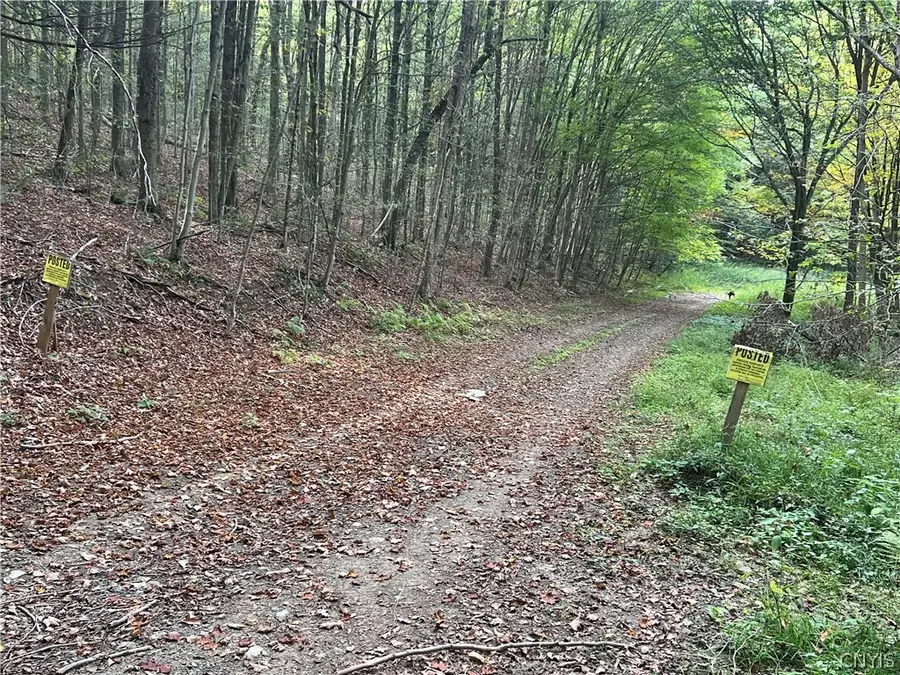 Stramba Road, Cincinnatus, NY 13040 - #2