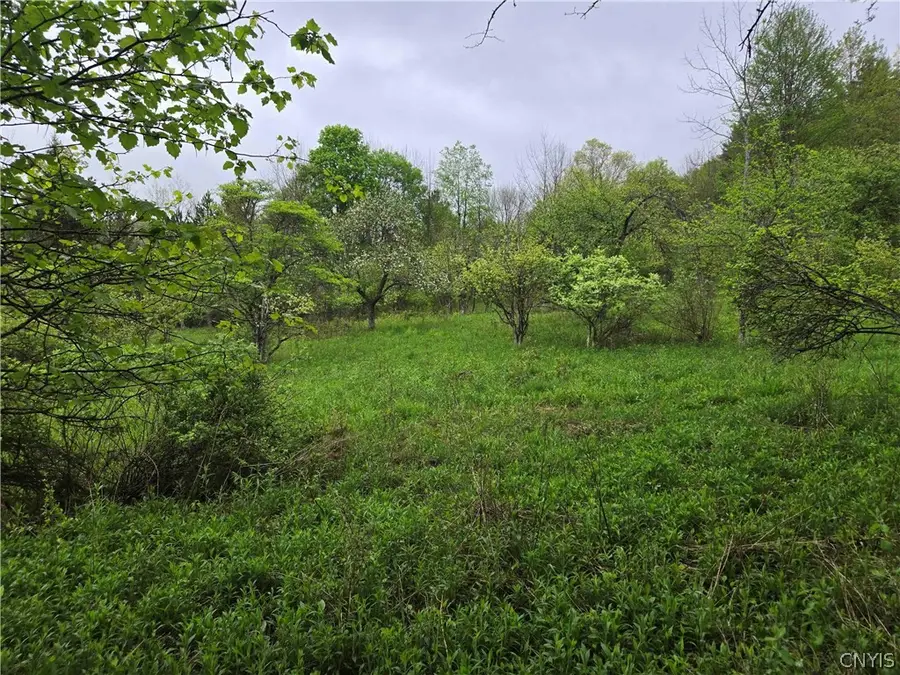 Mead Hollow Road, Little Genesee, NY 14754 - #3