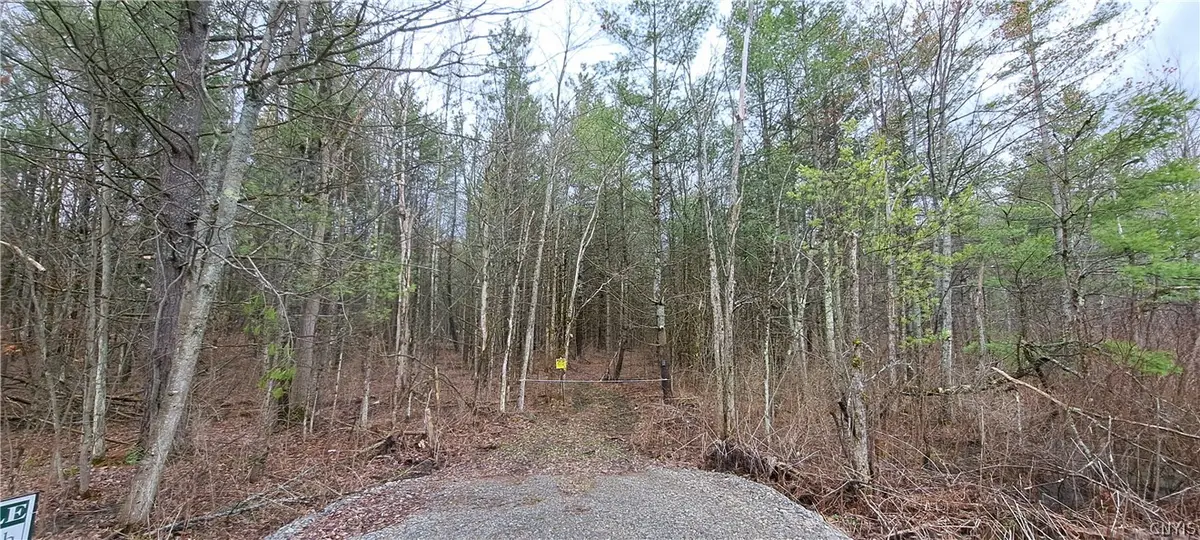 Lead Mine Rd, Redwood, NY 13679 - #1