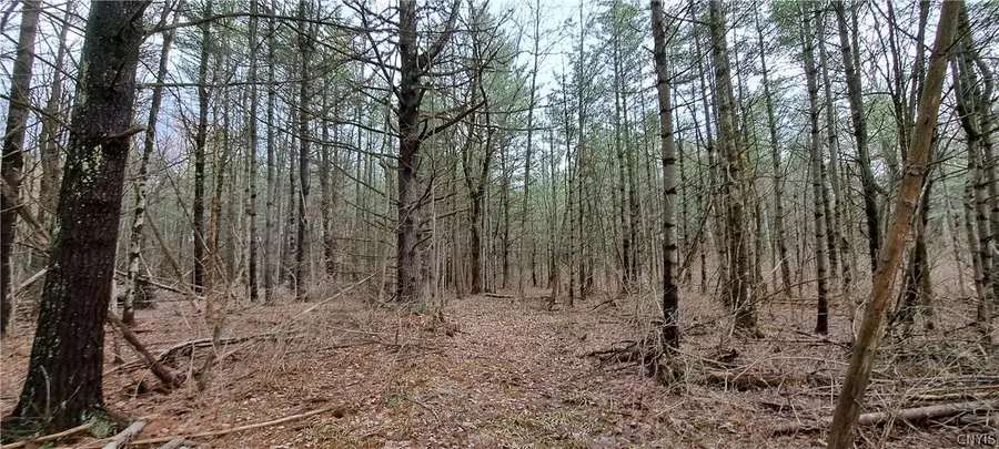 Lead Mine Rd, Redwood, NY 13679 - #3