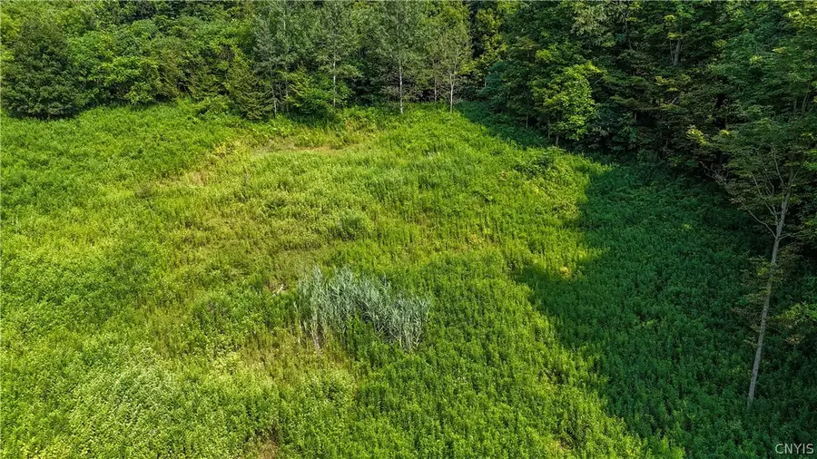 Clinton Avenue, Groton, NY 13073 - #2