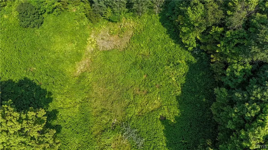 Clinton Avenue, Groton, NY 13073 - #3