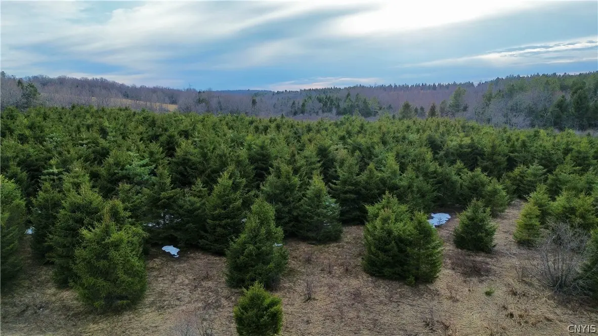 Lot 6 Burrell Road, Little Falls, NY 13365 - #1