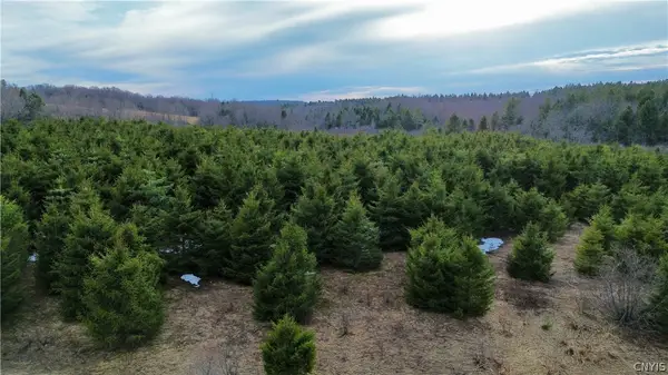 Lot 6 Burrell Road, Little Falls, NY 13365