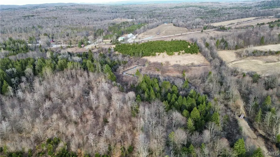 Lot 6 Burrell Road, Little Falls, NY 13365 - #3