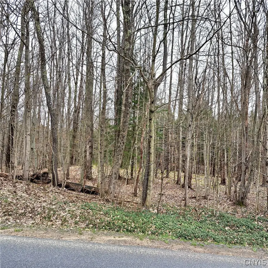 Steam Mill Road, Camden, NY 13316 - #1