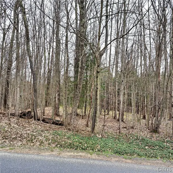 Steam Mill Road, Camden, NY 13316