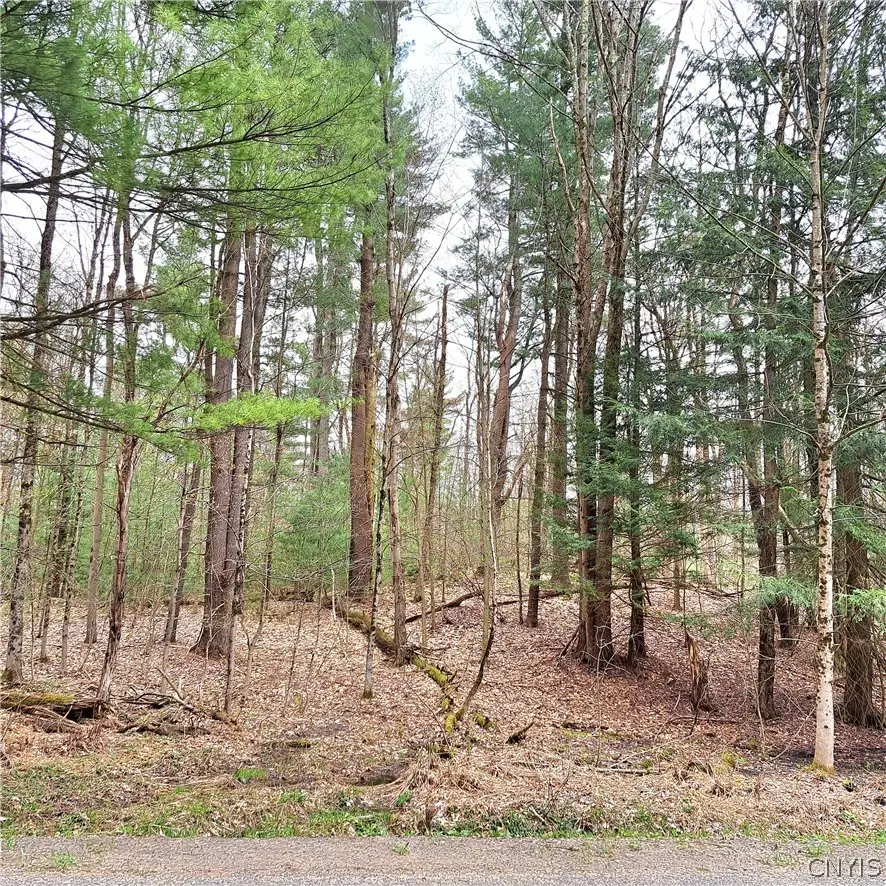 Steam Mill Road, Camden, NY 13316 - #3