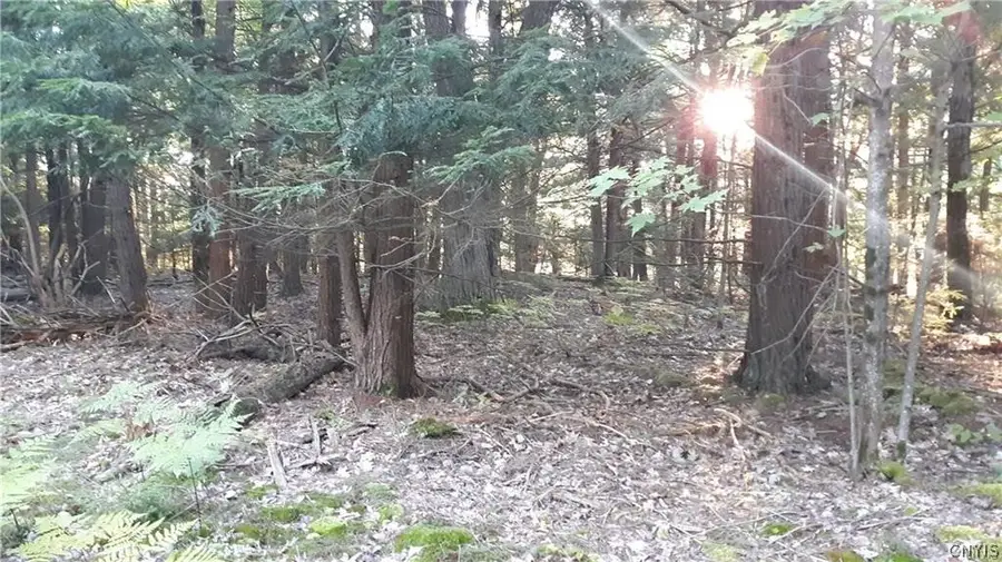 29809 Sears Road, Theresa, NY 13691 - #3