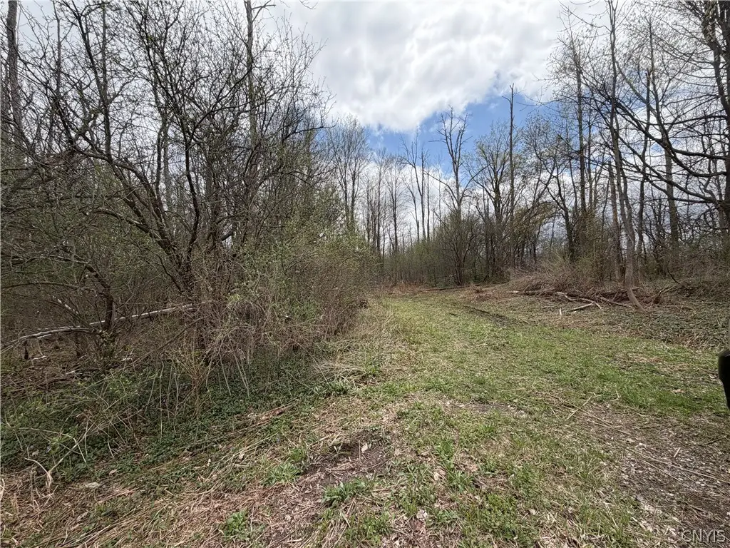 Peck Hill Road, Manlius, NY 13104 - #1