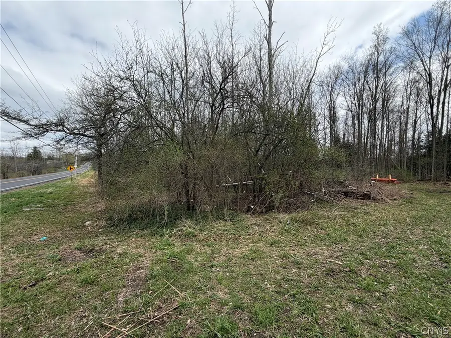 Peck Hill Road, Manlius, NY 13104 - #2