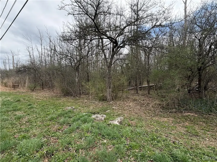 Peck Hill Road, Manlius, NY 13104 - #3