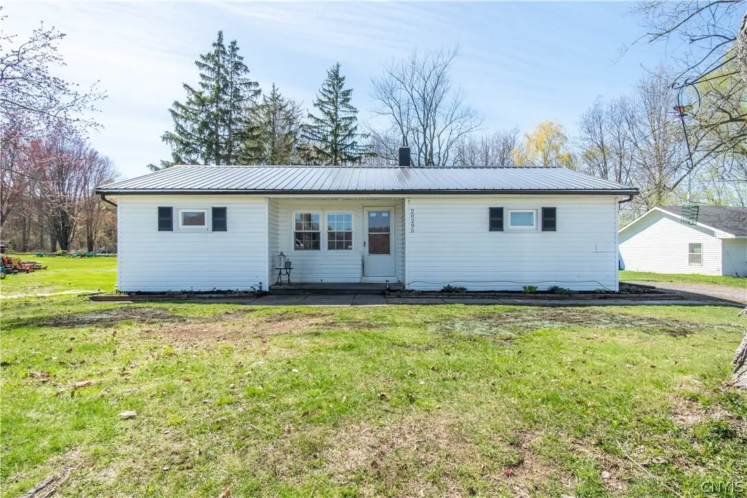 20295 Storrs Road, Sackets Harbor, NY 13685 - #1