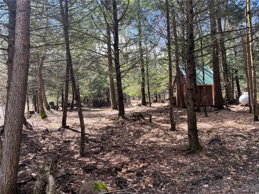 9589 Hopkins Road, Camden, NY 13316 - #3