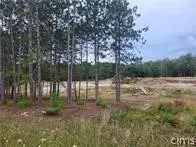 2321 Nys Route 3, Fine, NY 13639 - #1