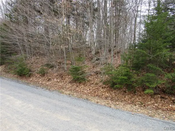 Palisades Road, Old Forge, NY 13420